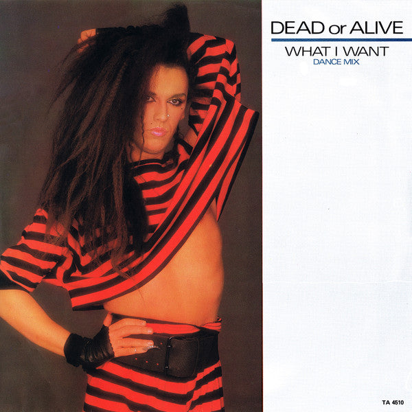 Dead Or Alive - What I Want (Dance Mix)