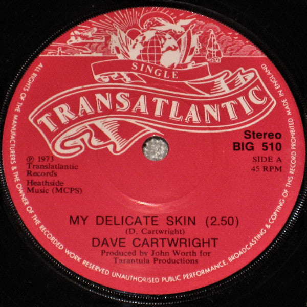Dave Cartwright - My Delicate Skin