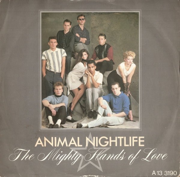 Animal Nightlife - The Mighty Hands Of Love - laurelcanyonvinyl