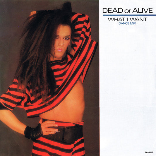 Dead Or Alive - What I Want (Dance Mix)