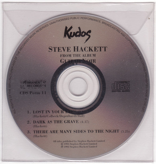 Steve Hackett - From The Album Guitar Noir