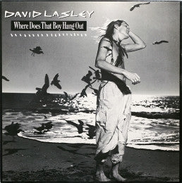 David Lasley - Where Does That Boy Hang Out