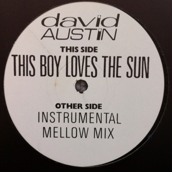 David Austin - This Boy Loves The Sun