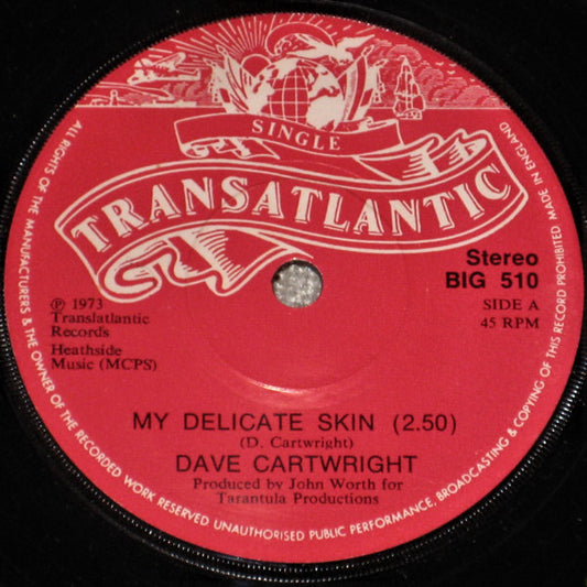 Dave Cartwright - My Delicate Skin
