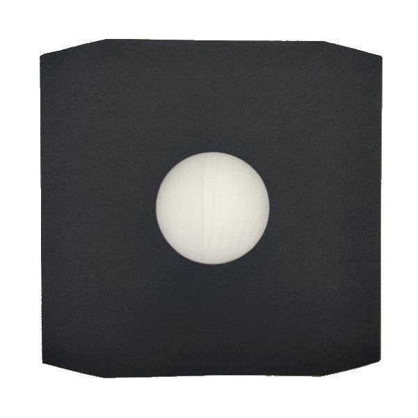 Premium 12" Poly Lined Black Paper Replacement Inner Sleeves - 100
