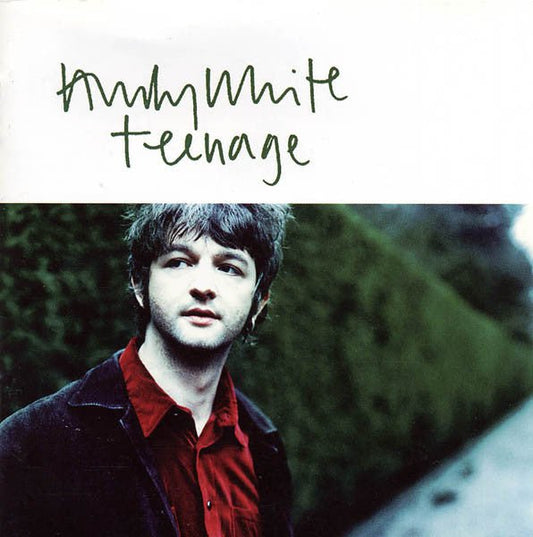 Andy White (4) - Teenage - laurelcanyonvinyl