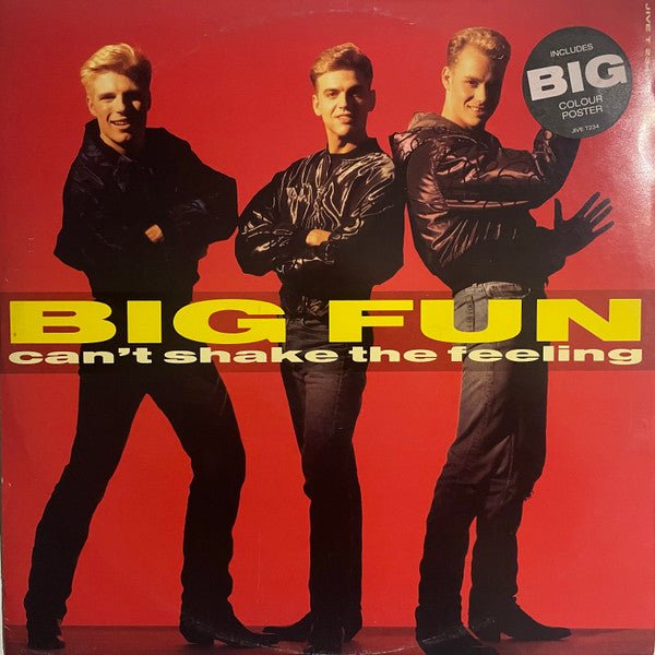 Big Fun - Can't Shake The Feeling - laurelcanyonvinyl