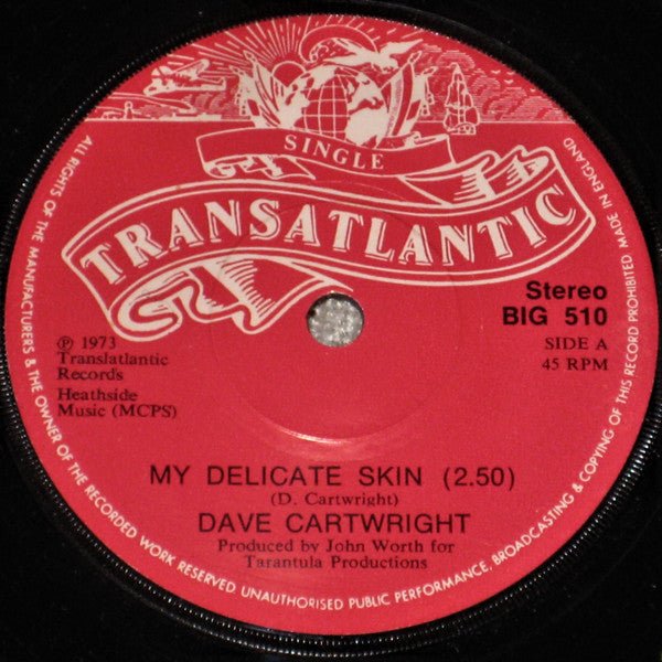 Dave Cartwright - My Delicate Skin - laurelcanyonvinyl