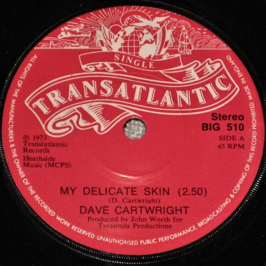 Dave Cartwright - My Delicate Skin - laurelcanyonvinyl