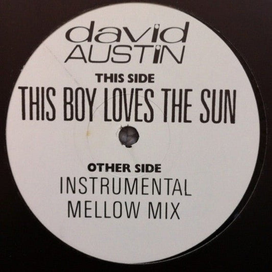 David Austin - This Boy Loves The Sun - laurelcanyonvinyl