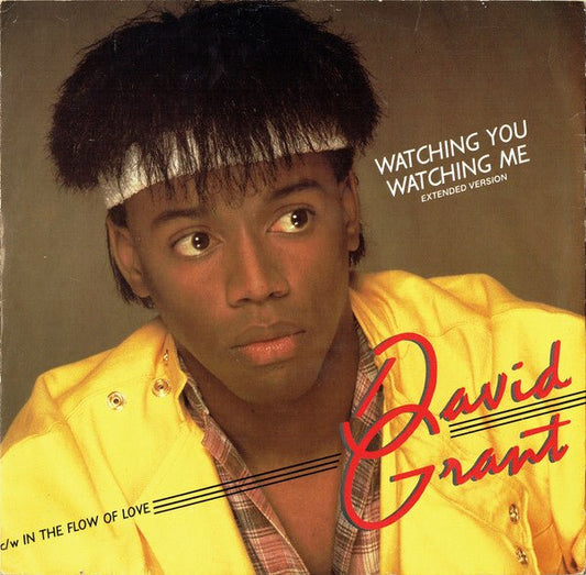 David Grant - Watching You Watching Me (Extended Version) - laurelcanyonvinyl