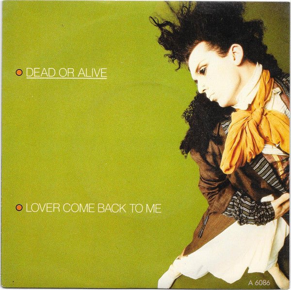 Dead Or Alive - Lover Come Back To Me - laurelcanyonvinyl