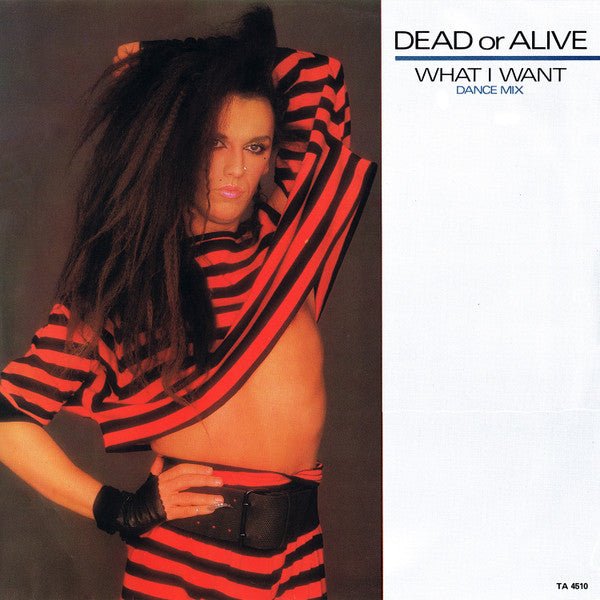 Dead Or Alive - What I Want (Dance Mix) - laurelcanyonvinyl