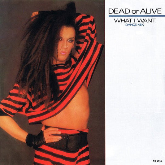 Dead Or Alive - What I Want (Dance Mix) - laurelcanyonvinyl