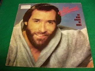 Lee Greenwood - The Wind Beneath My Wings - laurelcanyonvinyl