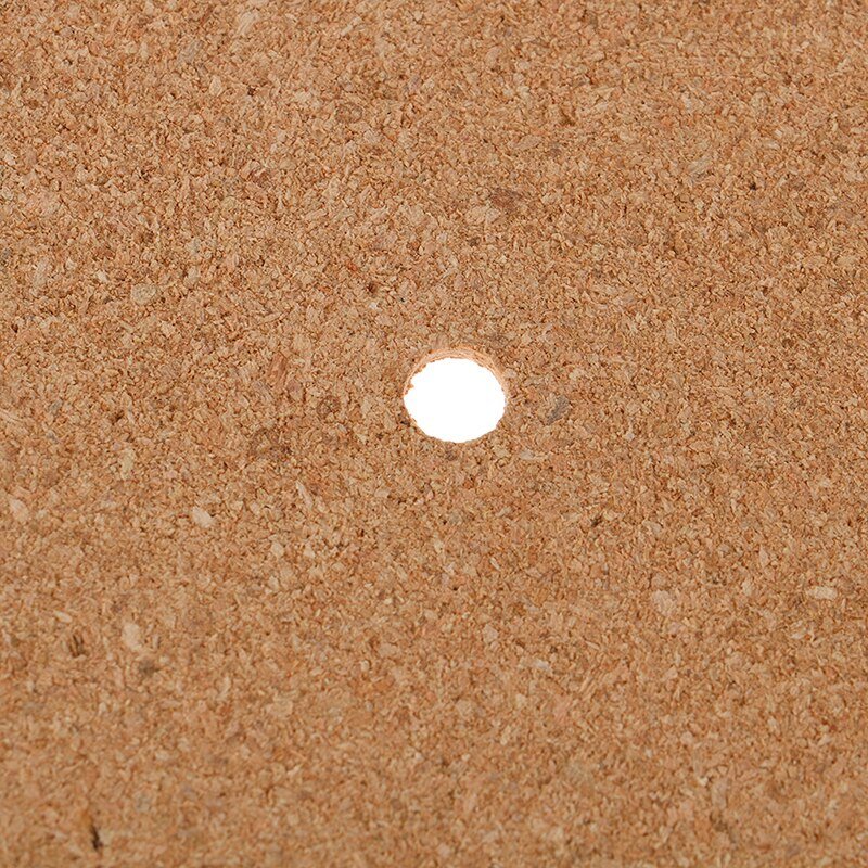 May Records 100% Natural Cork 12" Turntable Platter Mat - laurelcanyonvinyl
