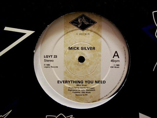 Mick Silver - Everything You Need - laurelcanyonvinyl
