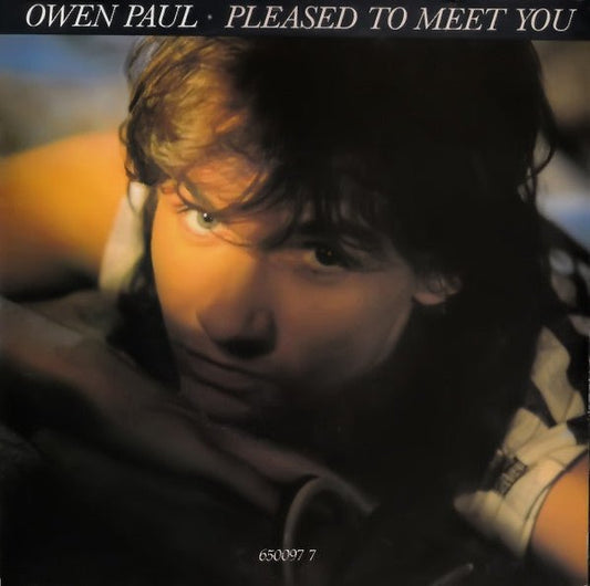 Owen Paul - Pleased To Meet You - laurelcanyonvinyl