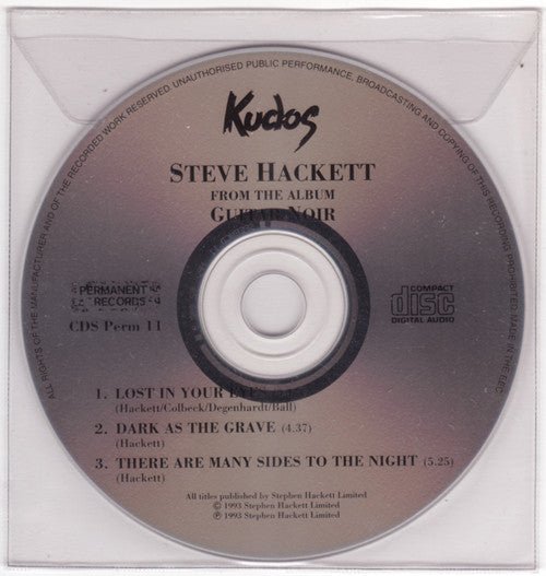 Steve Hackett - From The Album Guitar Noir - laurelcanyonvinyl