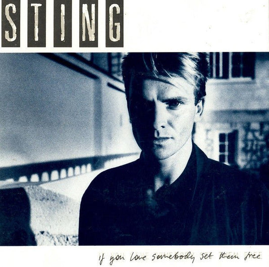 Sting - If You Love Somebody Set Them Free - laurelcanyonvinyl