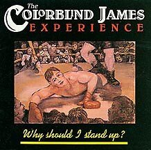 The Colorblind James Experience - Why Should I Stand Up? - laurelcanyonvinyl