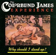 The Colorblind James Experience - Why Should I Stand Up? - laurelcanyonvinyl