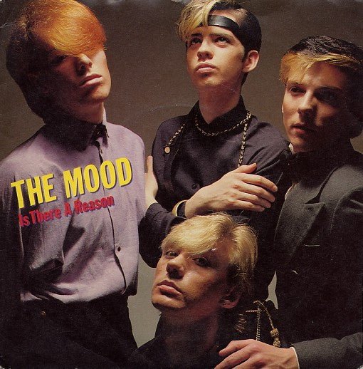 The Mood - Is There A Reason - laurelcanyonvinyl