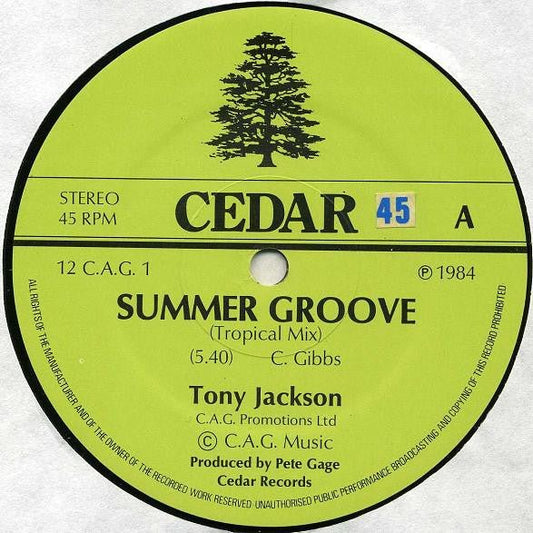 Tony Jackson - Summer Groove - laurelcanyonvinyl